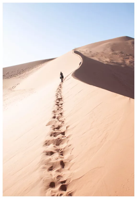 Desert Desert